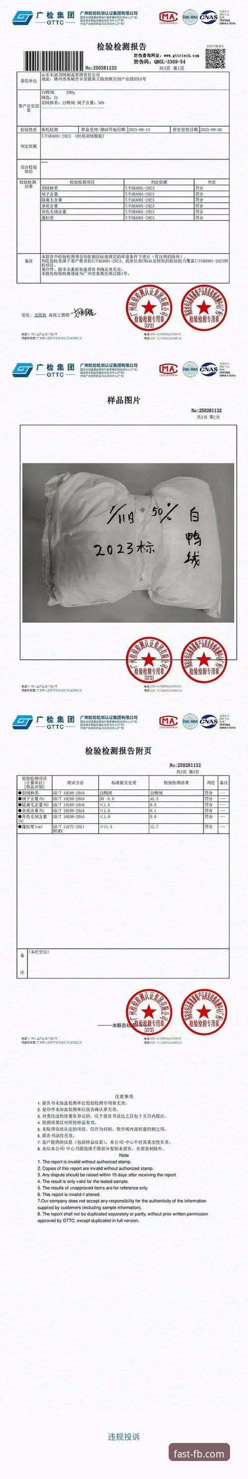 FB体育2025新版深度评测：从用户反馈到技术细节的全面体验报告